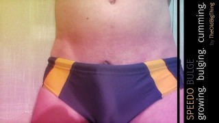 SPEEDO Beule – wachsen. ausbeulen. spritzen.